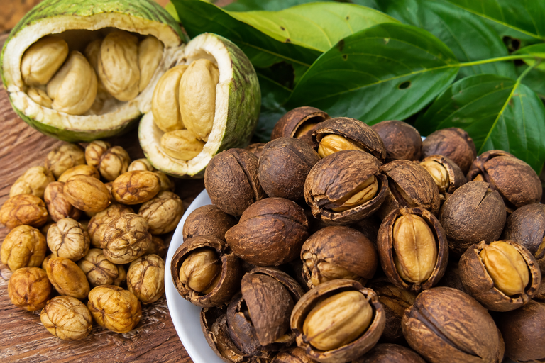 African Walnut (Ukpa): Nigeria’s Nutrient-Rich Superfood and Its Incredible Health Benefits